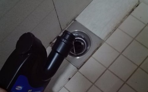 06ce1a9b-bffc-4ab0-86df-48fdac2496cf.jpg